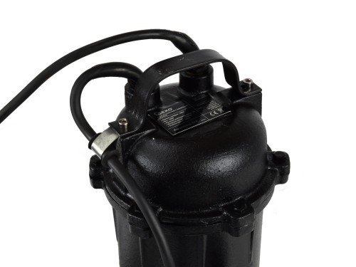 29607_6172