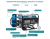 52608_44301