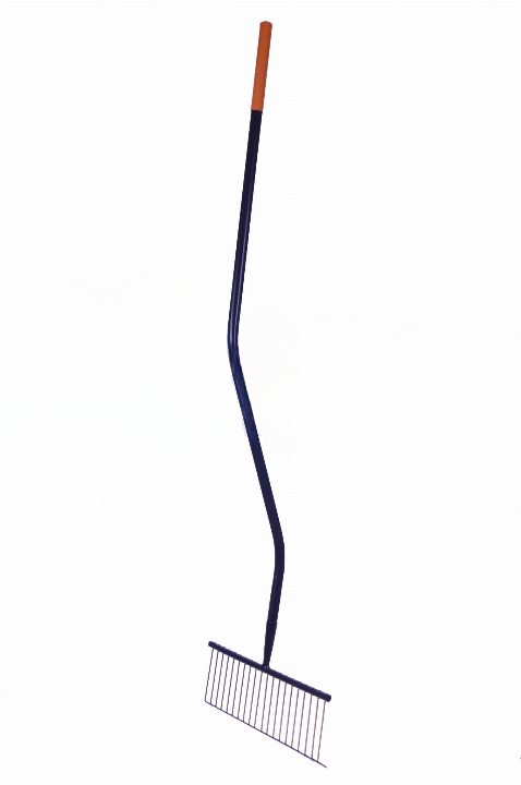 62896_73997