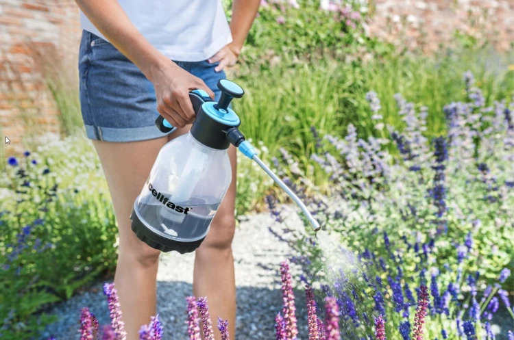 66774_94868