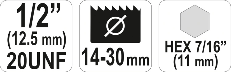 5246_684