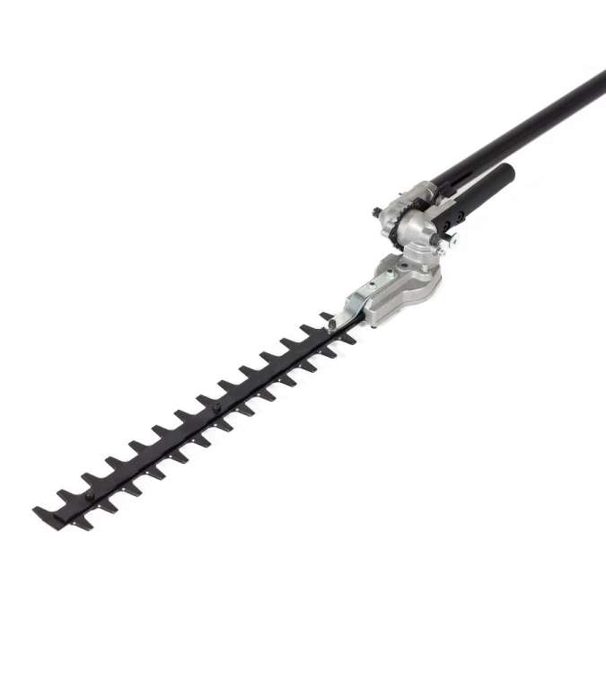 61580_77709