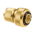 73496_99786