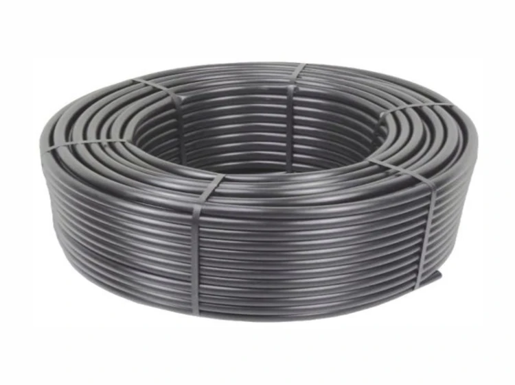 46509_38043