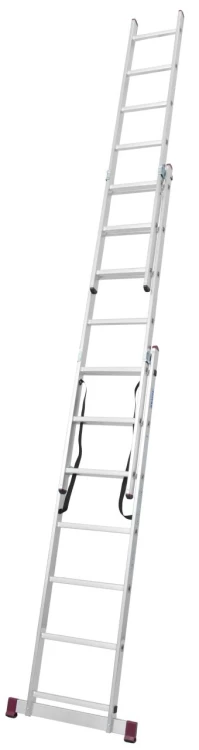 31283_28249
