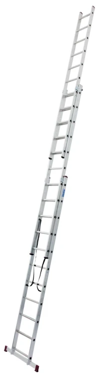 24448_28302