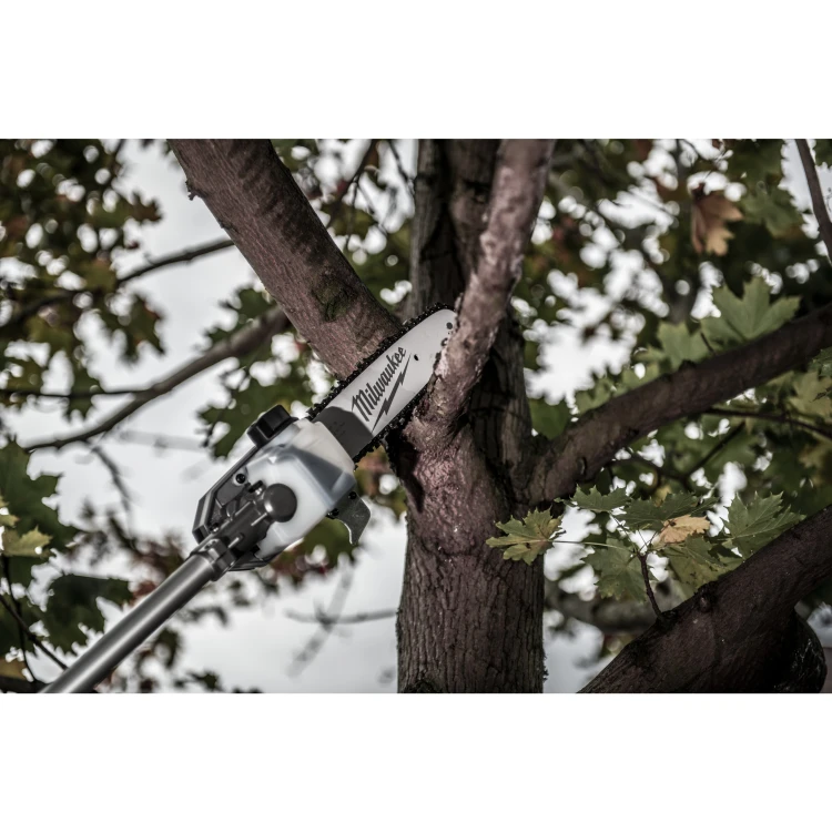 53593_50105