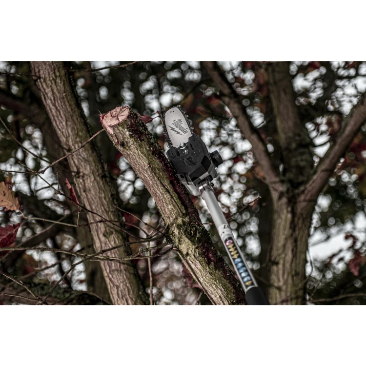 53593_50107