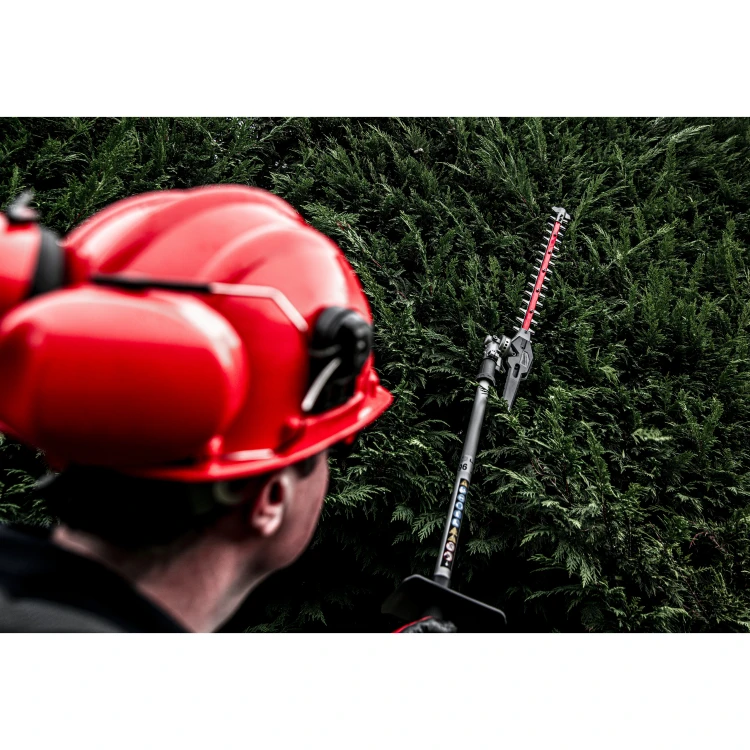 53592_50144