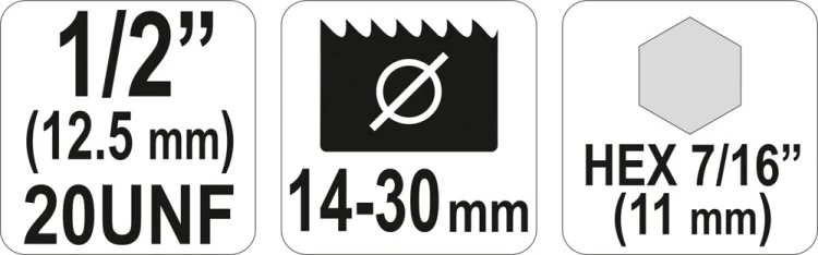 5246_684